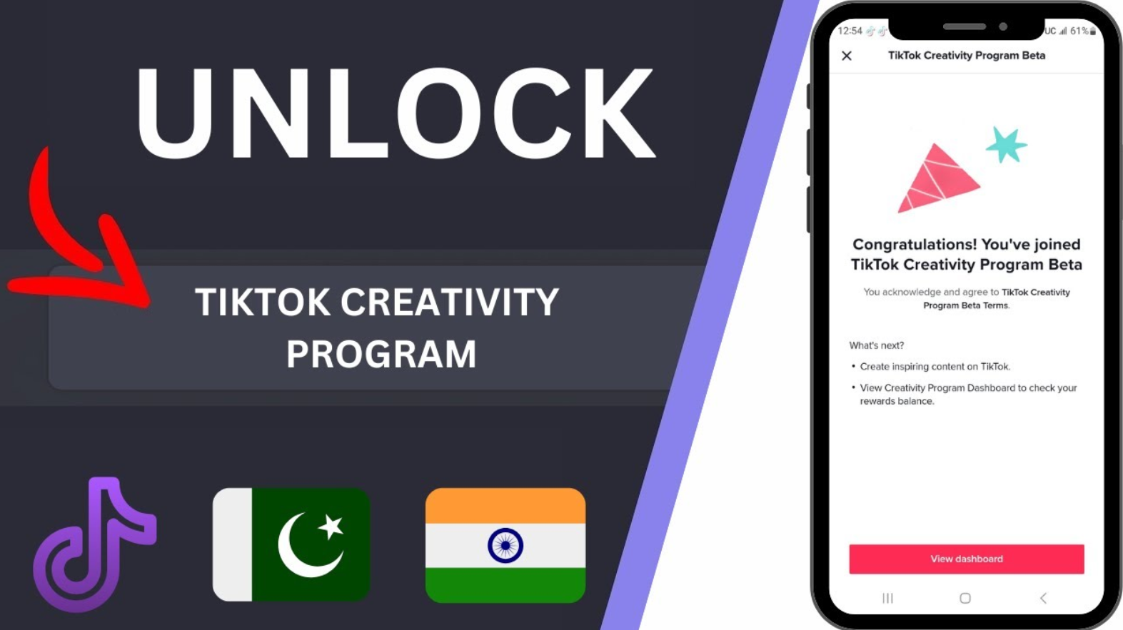 How to Join TikTok's Exclusive Creativity Program Beta torapk
