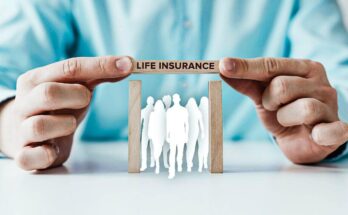 Life Insurance Terms in the USA in 2024